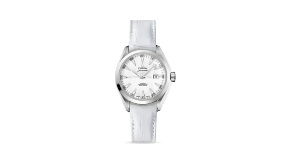 Omega Seamaster Aqua Terra 150M Co-Axial 34 Stainless Steel / Silver