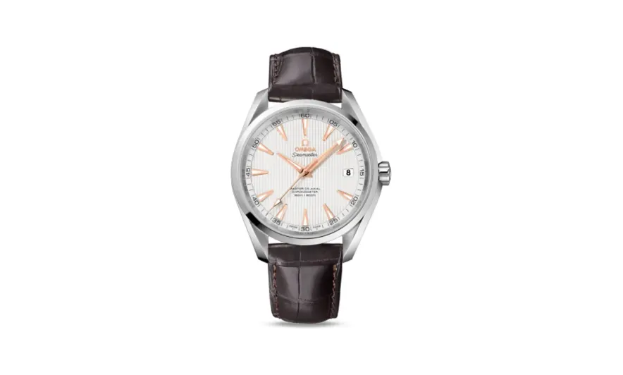 Omega Seamaster Aqua Terra 150m Master Co-Axial 41.5 Stainless Steel / Silver