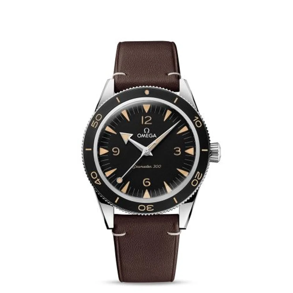 Omega Seamaster 300 Master Chronometer Stainless Steel / Black / Strap