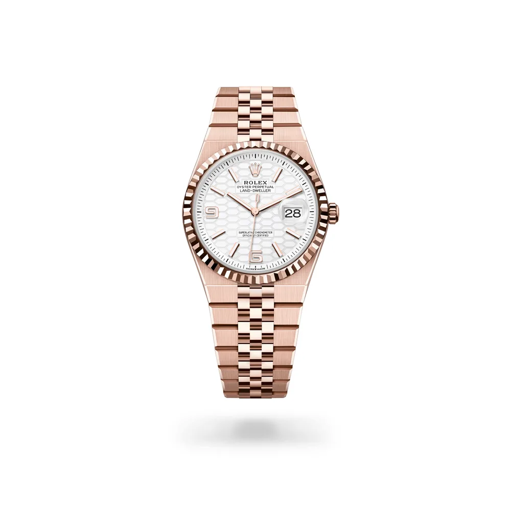 Rolex Land-Dweller 36, 18 kt Everose gold, Intense white dial